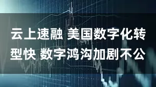 云上速融 美国数字化转型快 数字鸿沟加剧不公