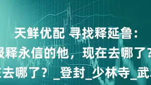 天鲜优配 寻找释延鲁：十年前举报释永信的他，现在去哪了？_登封_少林寺_武术节